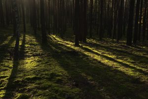德州牛仔心理战怎么打？三个虚张声势技巧让你更稳